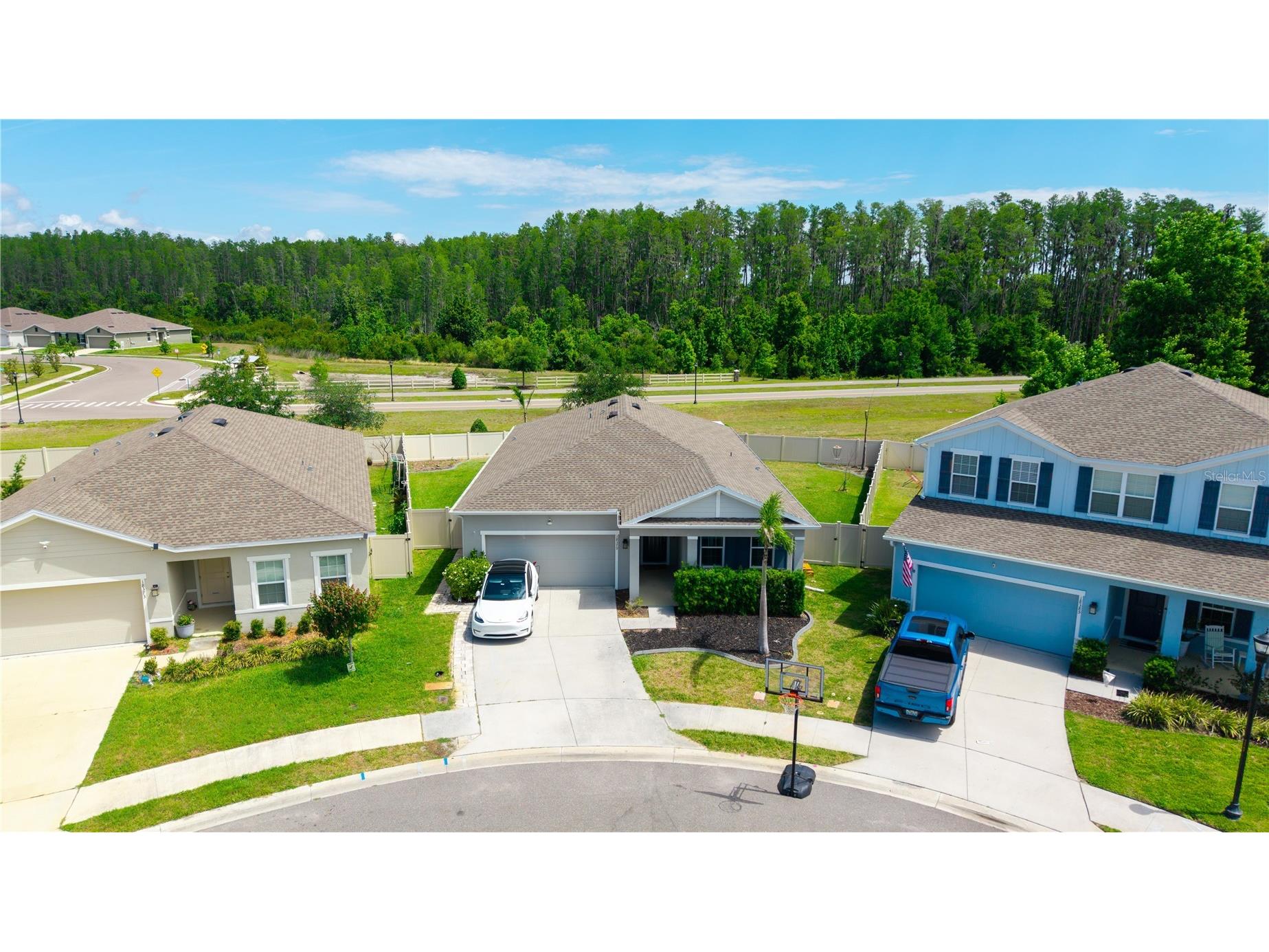18379 Falling Pine Needle Lane Land O Lakes FL 34638 W7885378 image1