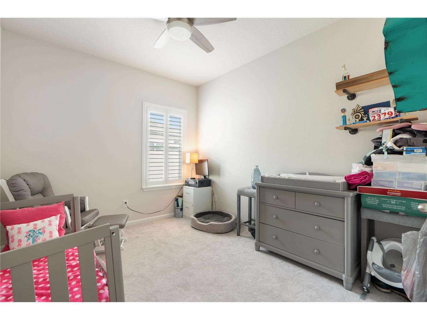 18379 Falling Pine Needle Lane Land O Lakes FL 34638 W7885378 image11