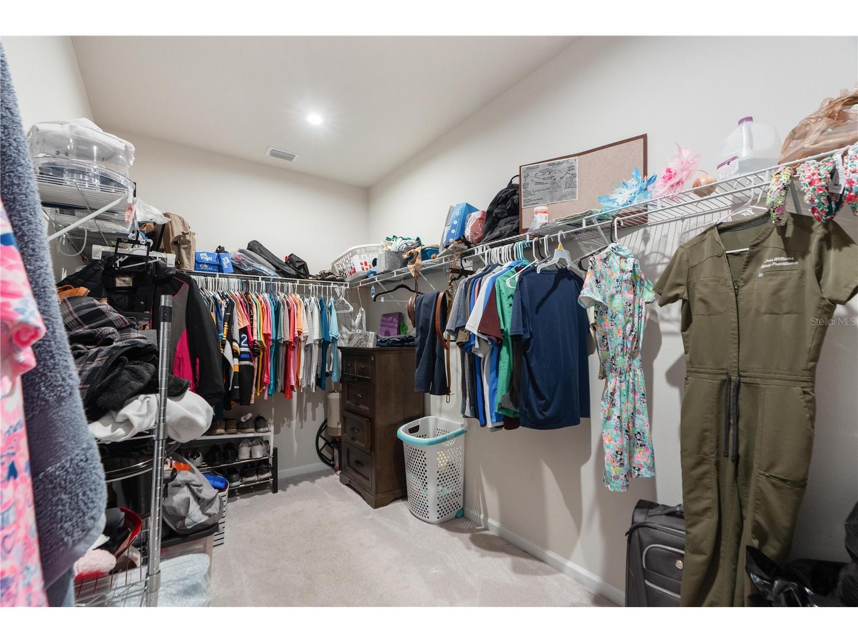 18379 Falling Pine Needle Lane Land O Lakes FL 34638 W7885378 image21