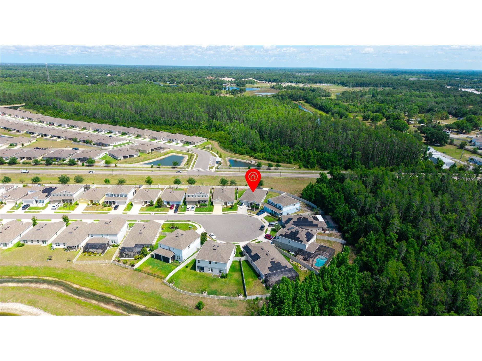 18379 Falling Pine Needle Lane Land O Lakes FL 34638 W7885378 image34