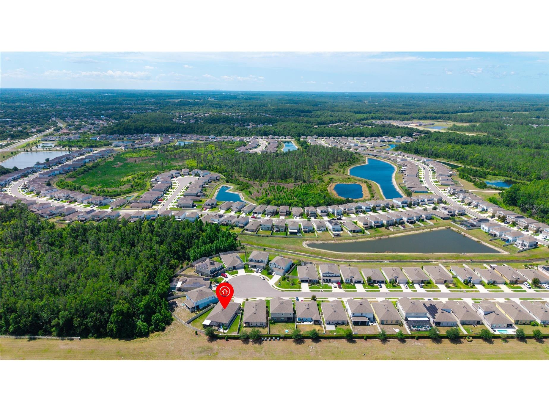 18379 Falling Pine Needle Lane Land O Lakes FL 34638 W7885378 image36
