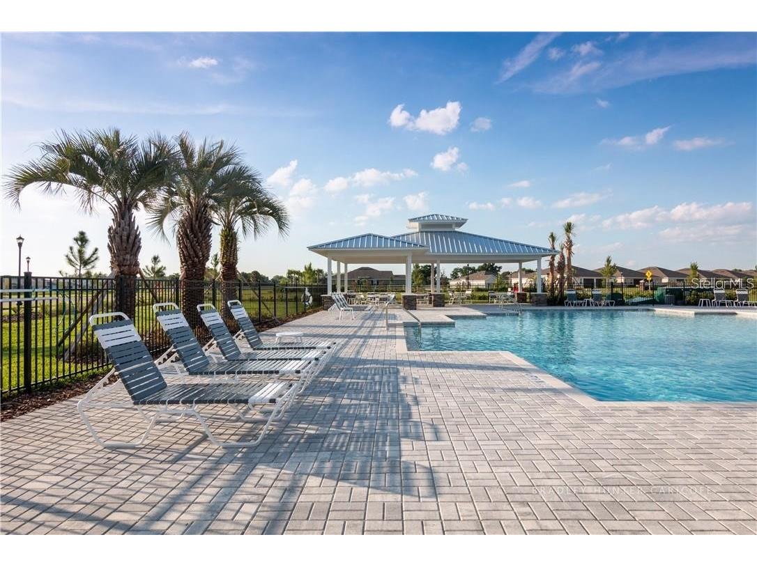18379 Falling Pine Needle Lane Land O Lakes FL 34638 W7885378 image41