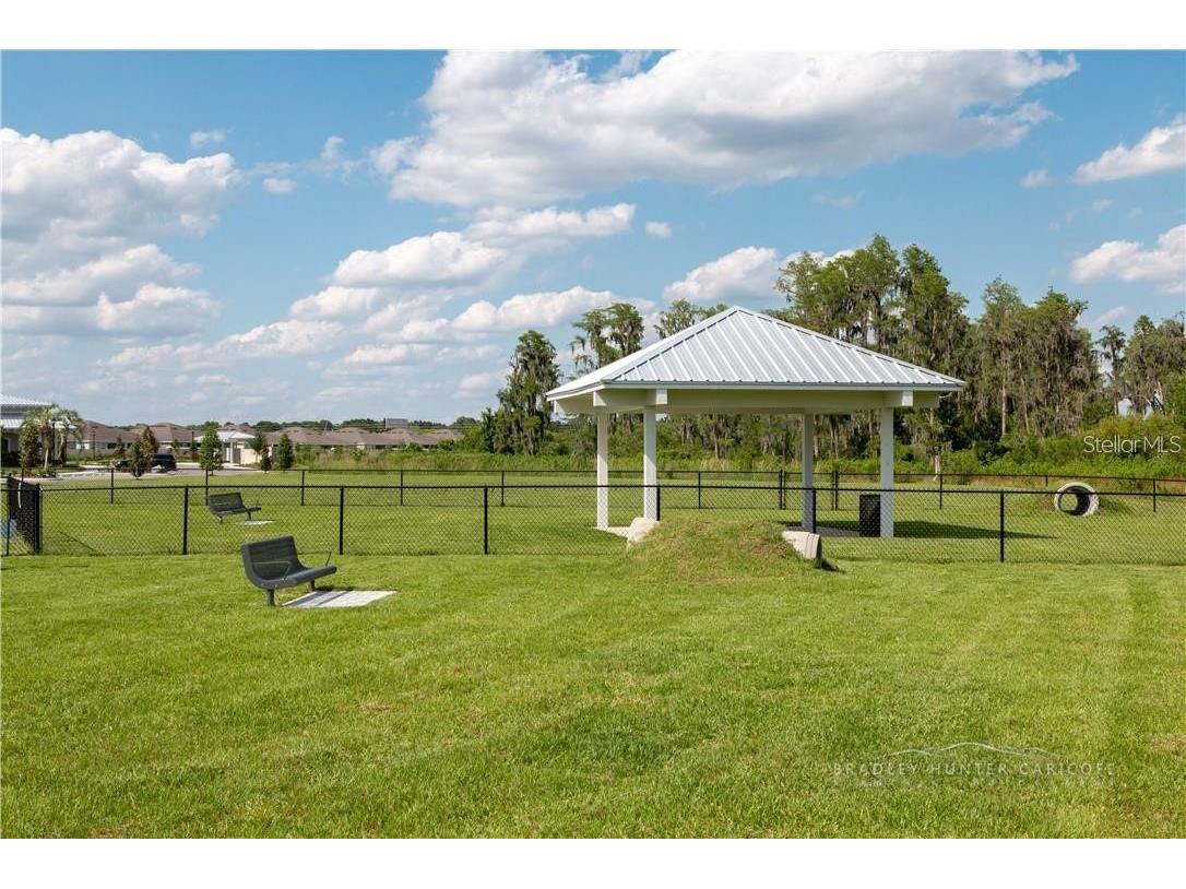 18379 Falling Pine Needle Lane Land O Lakes FL 34638 W7885378 image44