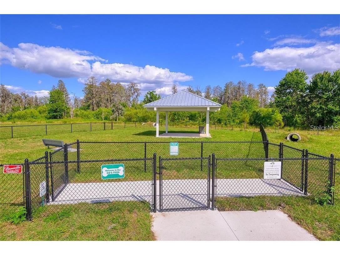 18379 Falling Pine Needle Lane Land O Lakes FL 34638 W7885378 image45