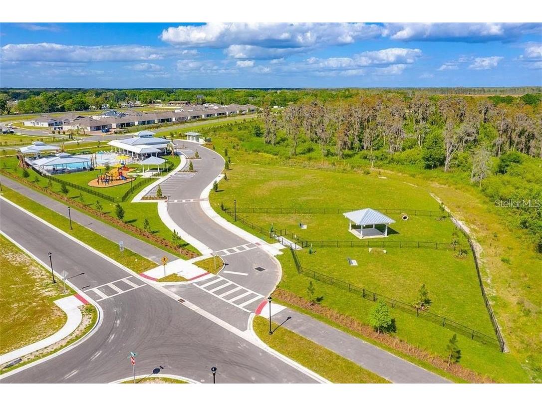 18379 Falling Pine Needle Lane Land O Lakes FL 34638 W7885378 image46