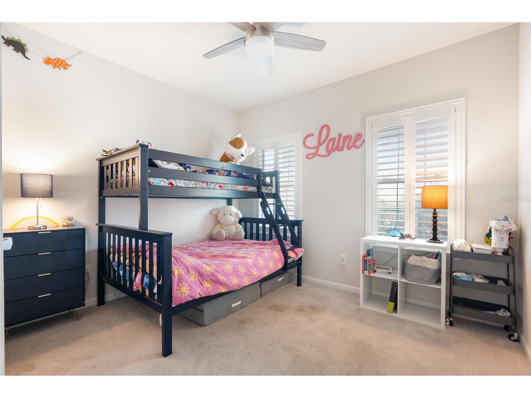 18379 Falling Pine Needle Lane Land O Lakes FL 34638 W7885378 image9