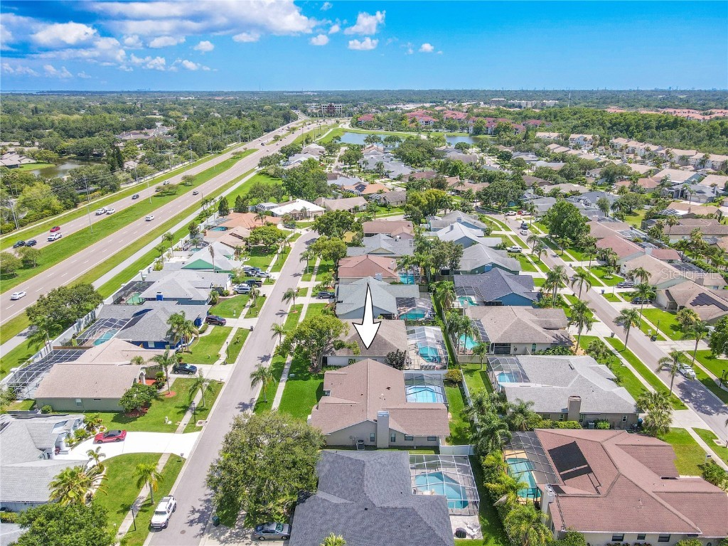 1838 Eagle Ridge Boulevard Palm Harbor FL 34685 TB8392103 image49