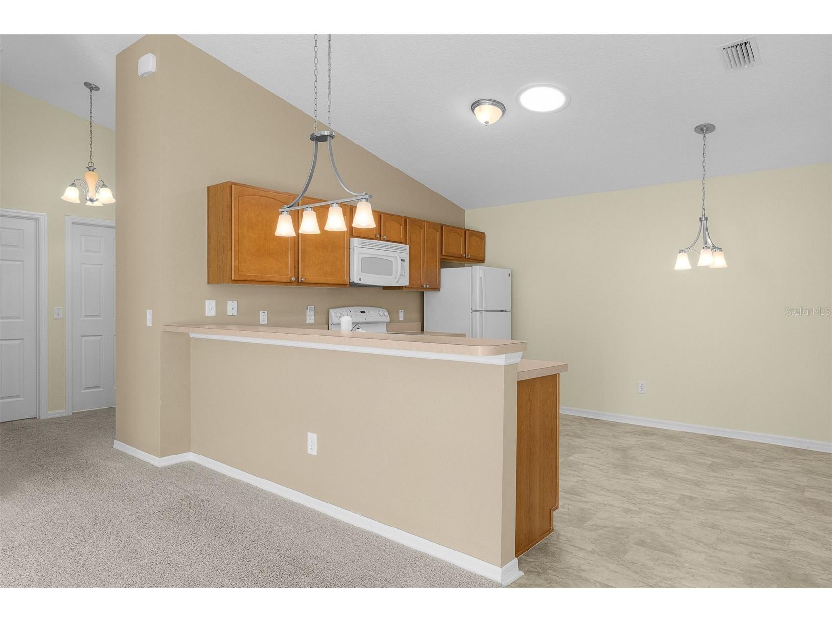 1838 Endsley Court The Villages FL 32162 G5113993 image7