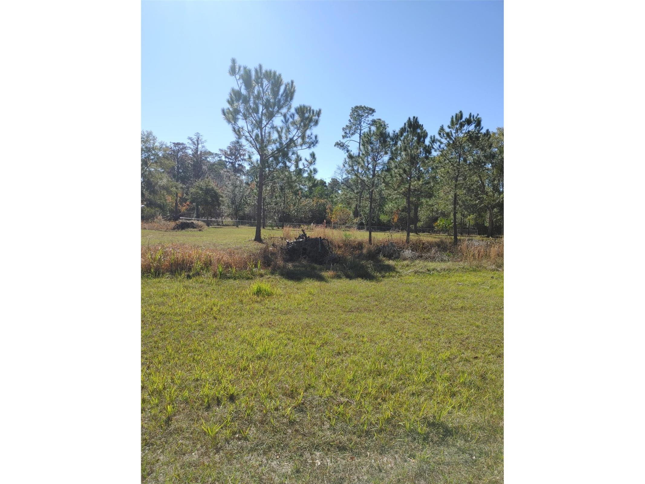 1838 NE 145th Avenue Road Silver Springs FL 34488 O6384268 image6