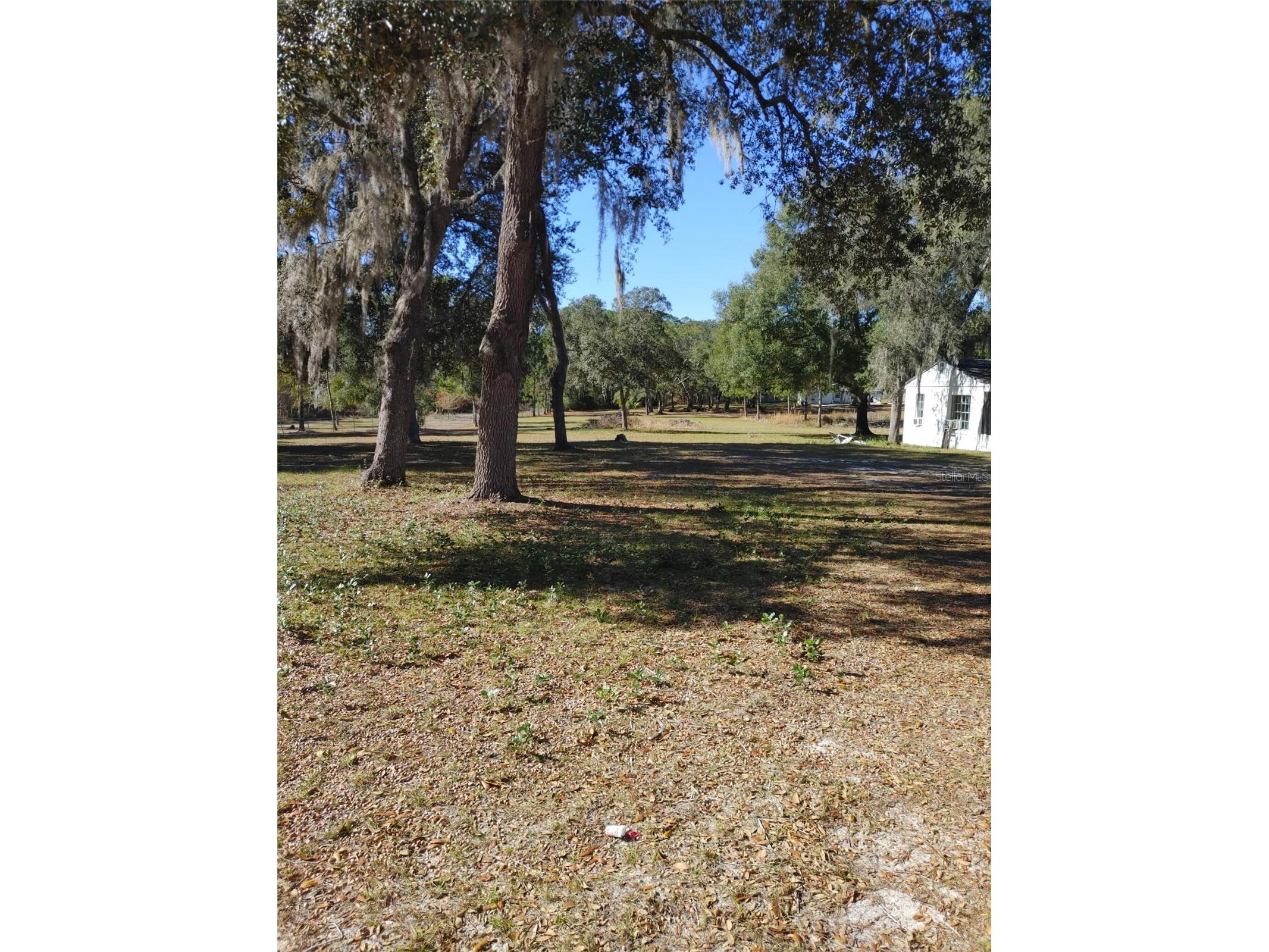 1838 NE 145th Avenue Road Silver Springs FL 34488 O6384268 image9