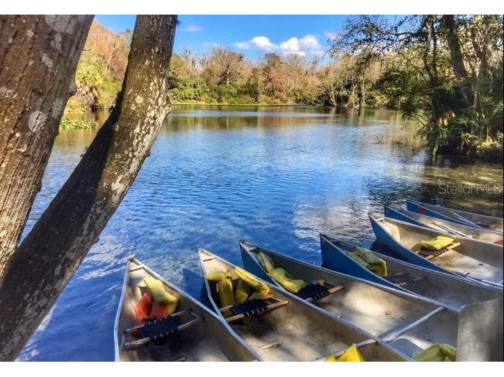 1838 Sunset Palm Drive Apopka FL 32712 O6350803 image33