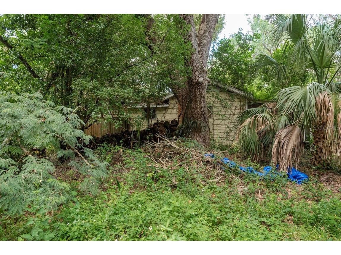 1838 Sylvan Drive Clearwater FL 33755 TB8428680 image24