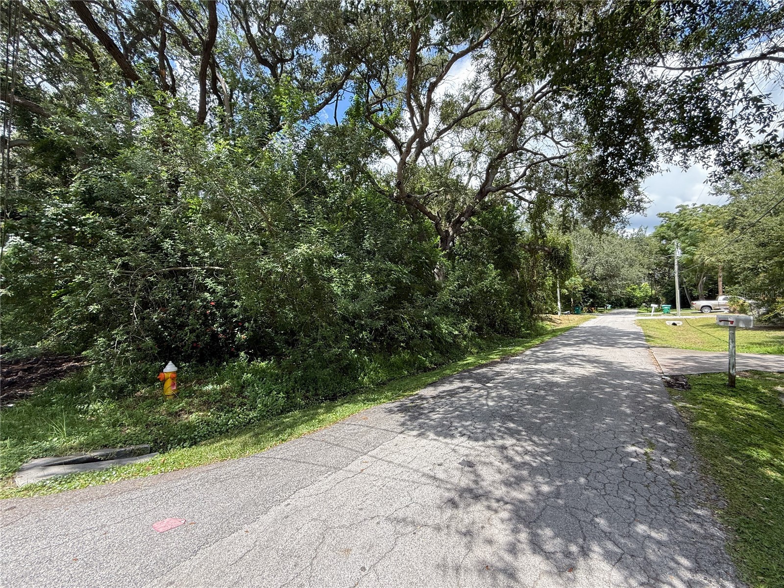 1838 Sylvan Drive Clearwater FL 33755 TB8428894 image12