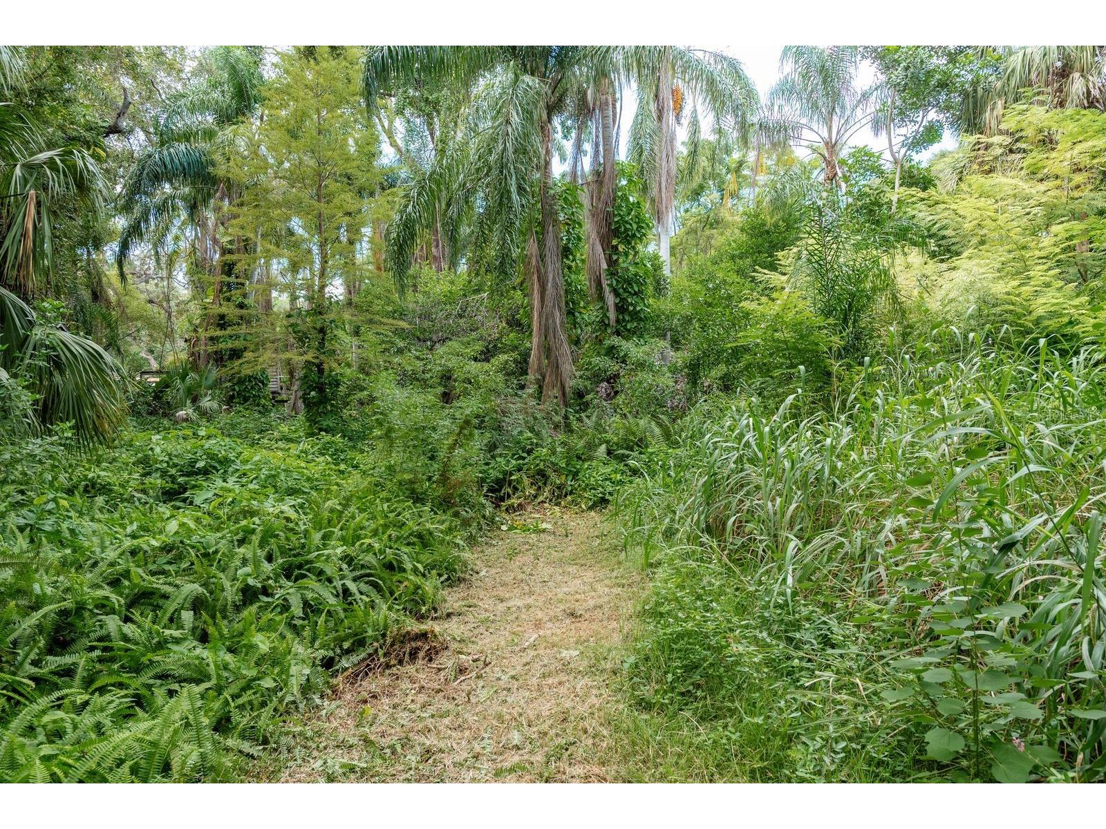 1838 Sylvan Drive Clearwater FL 33755 TB8428894 image22