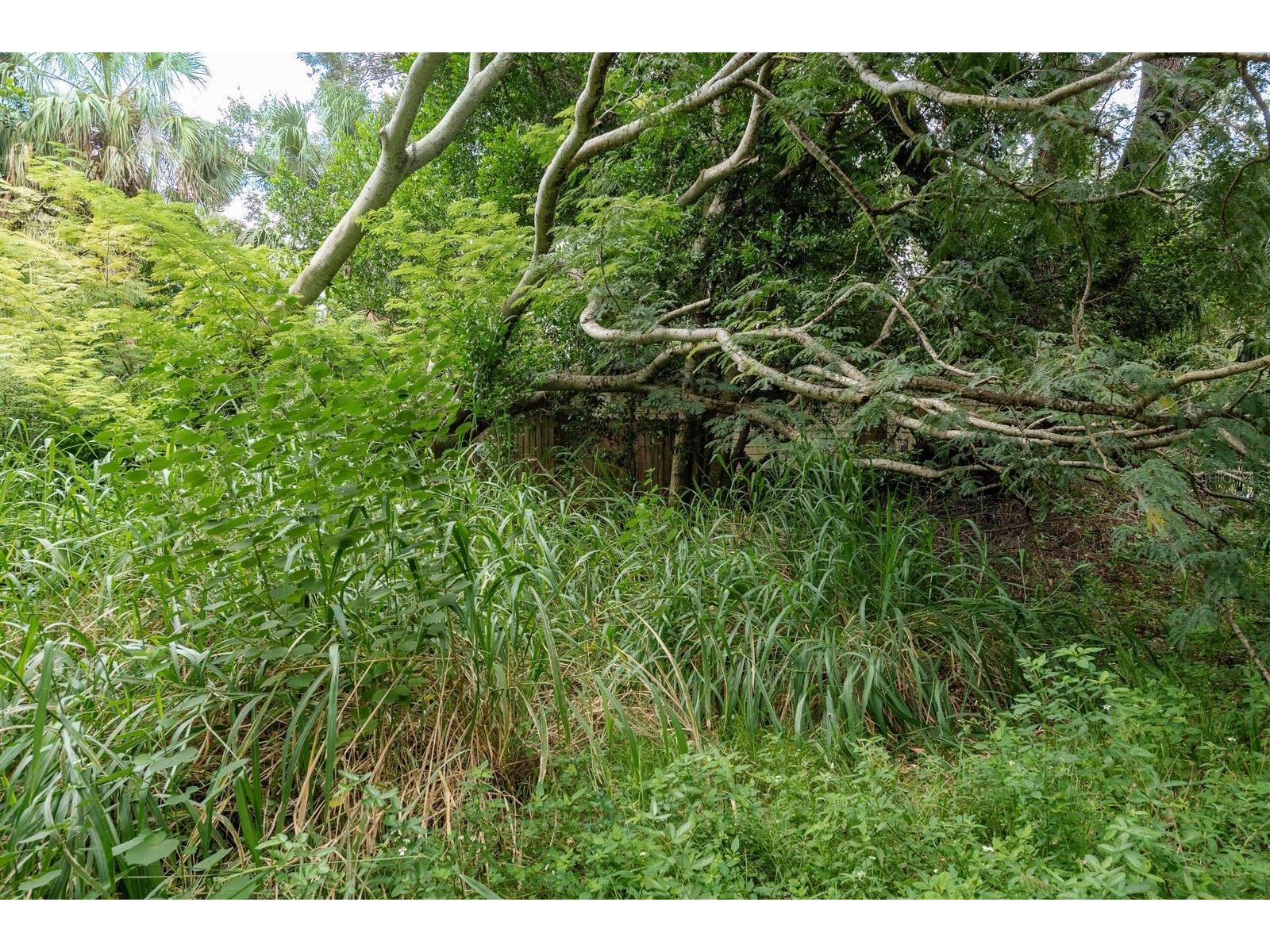 1838 Sylvan Drive Clearwater FL 33755 TB8428894 image23