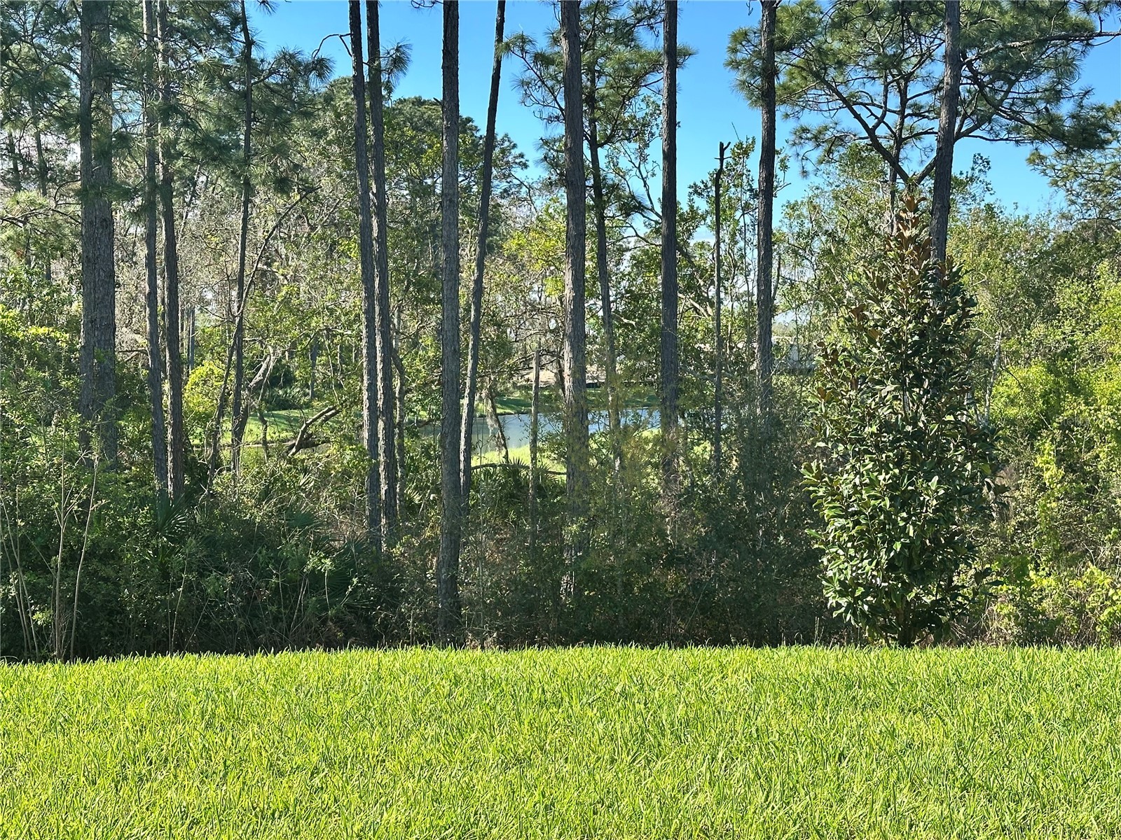 18386 Oliver Twist Way Winter Garden FL 34787 O6388830 image4