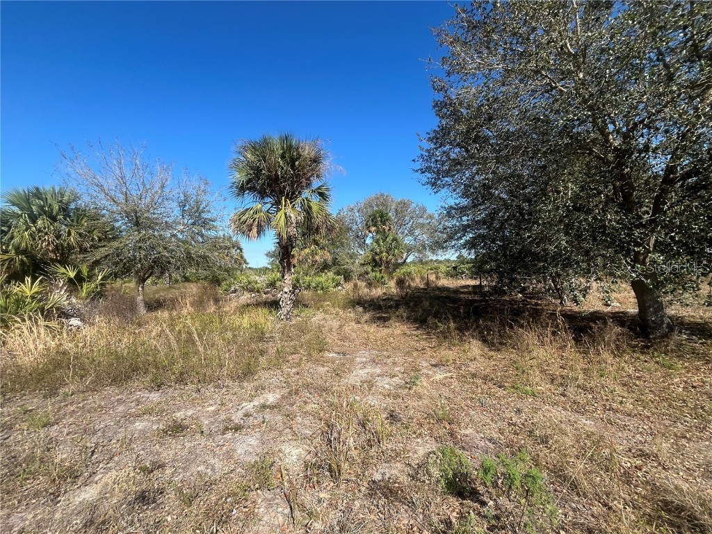18389 NW 312th Street Okeechobee FL 34972 OK224954 image1
