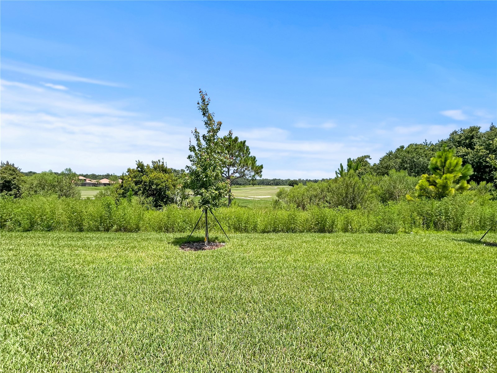 1839 Brentwood Court Davenport FL 33837 TB8528055 image37