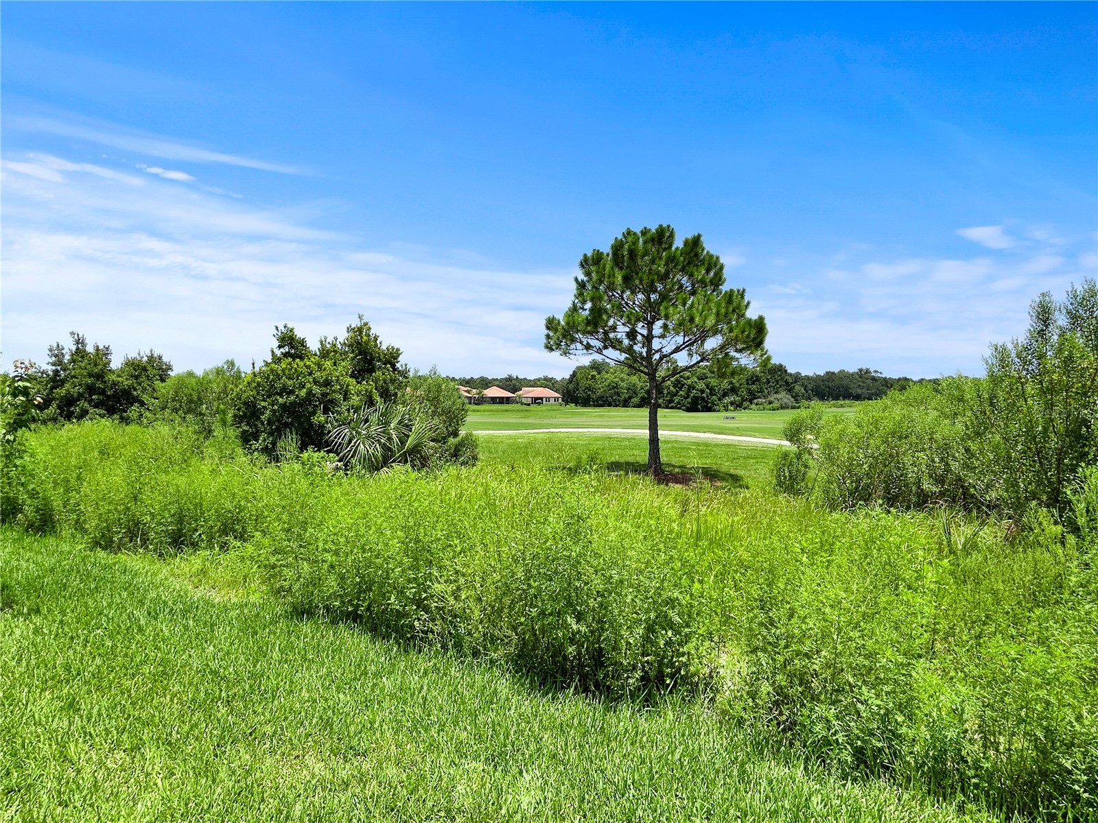 1839 Brentwood Court Davenport FL 33837 TB8528055 image38
