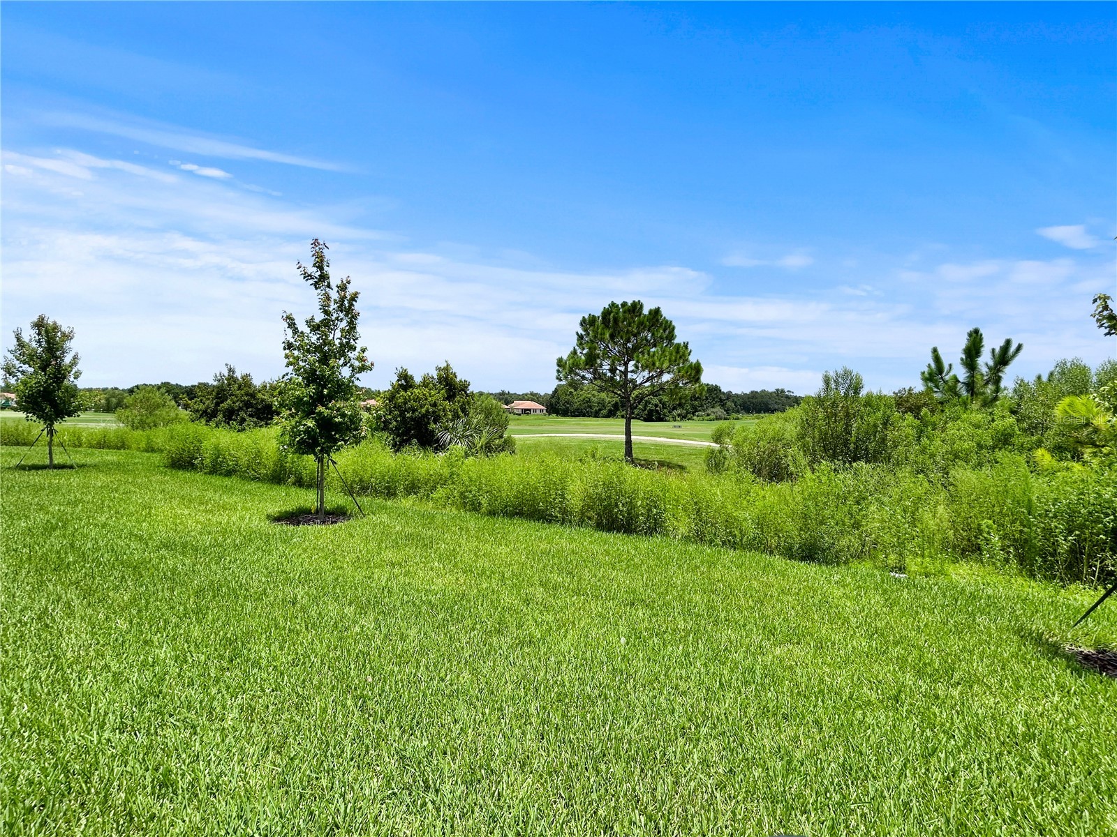 1839 Brentwood Court Davenport FL 33837 TB8528055 image41
