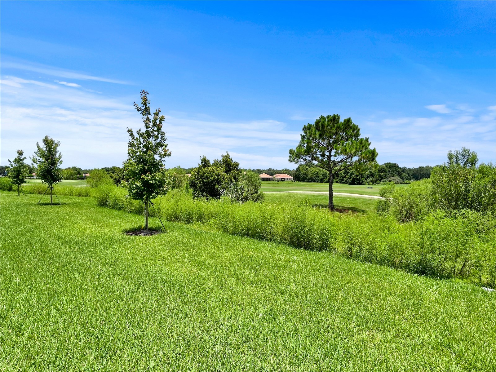 1839 Brentwood Court Davenport FL 33837 TB8528055 image42
