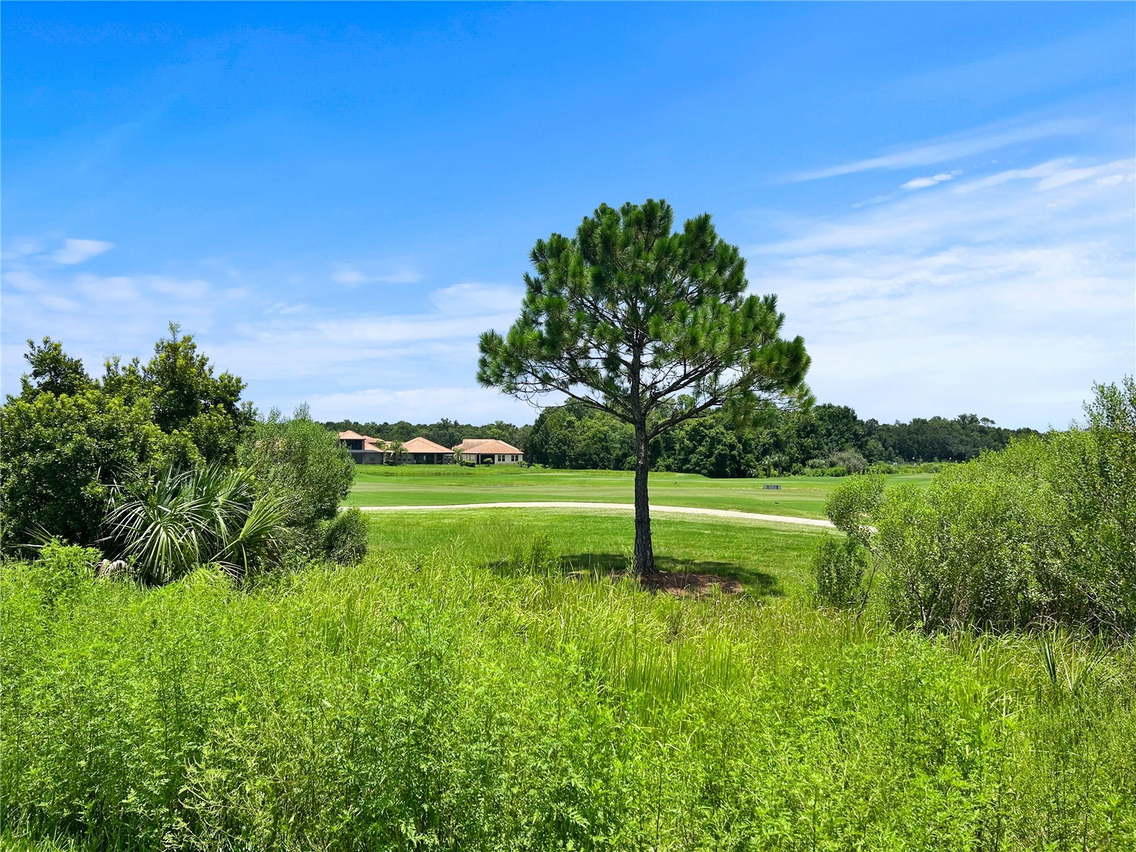 1839 Brentwood Court Davenport FL 33837 TB8528055 image43