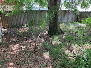 1839 Kettler Drive Lutz FL 33559 TB8516935 image28