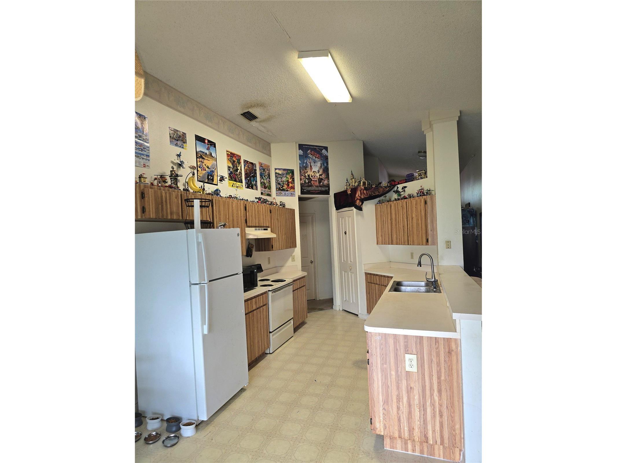 1839 Kettler Drive Lutz FL 33559 TB8516935 image3