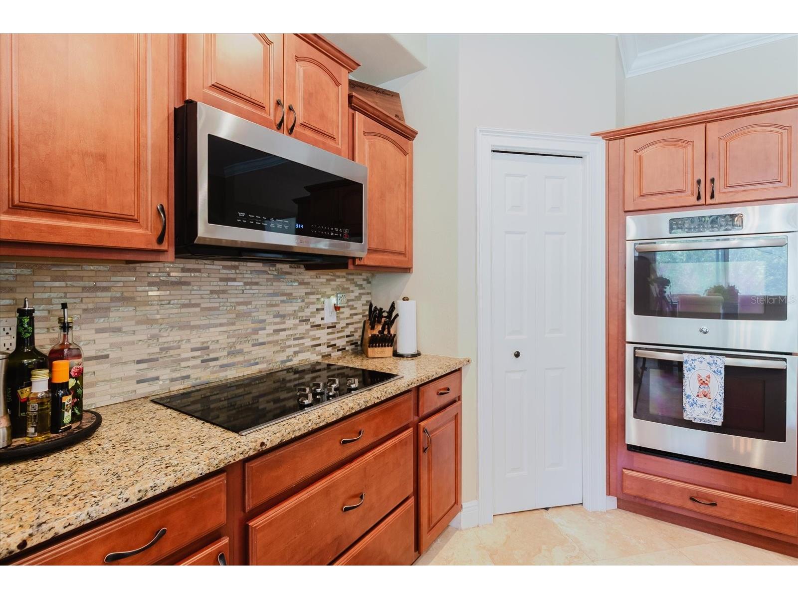 1839 Pink Guara Court Trinity FL 34655 TB8520866 image21