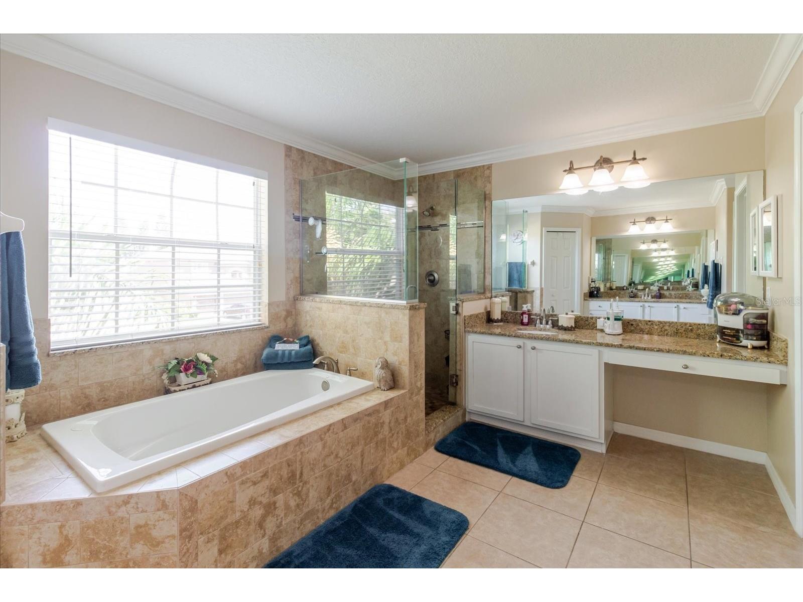1839 Pink Guara Court Trinity FL 34655 TB8520866 image38