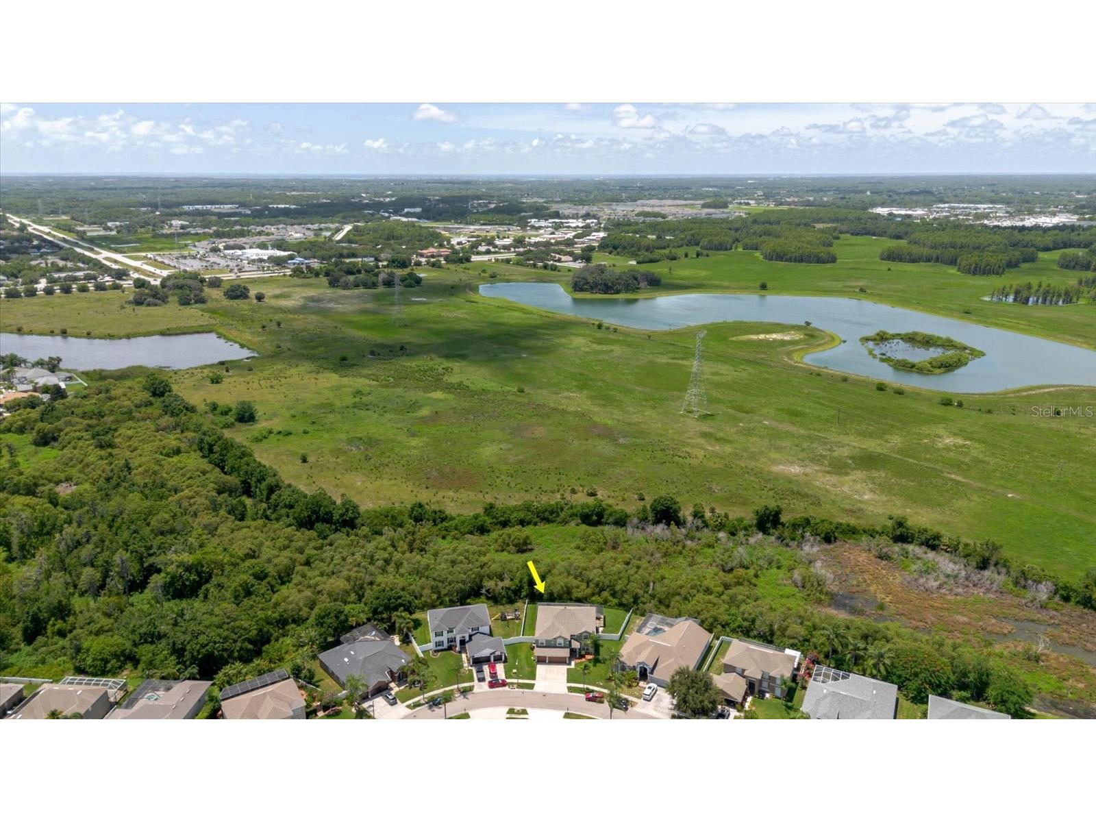 1839 Pink Guara Court Trinity FL 34655 TB8520866 image67