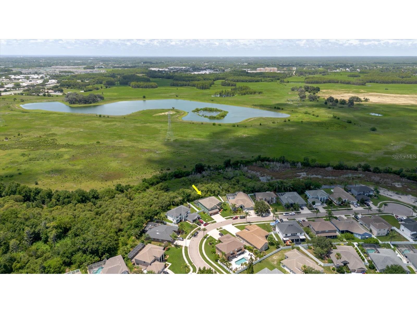 1839 Pink Guara Court Trinity FL 34655 TB8520866 image68
