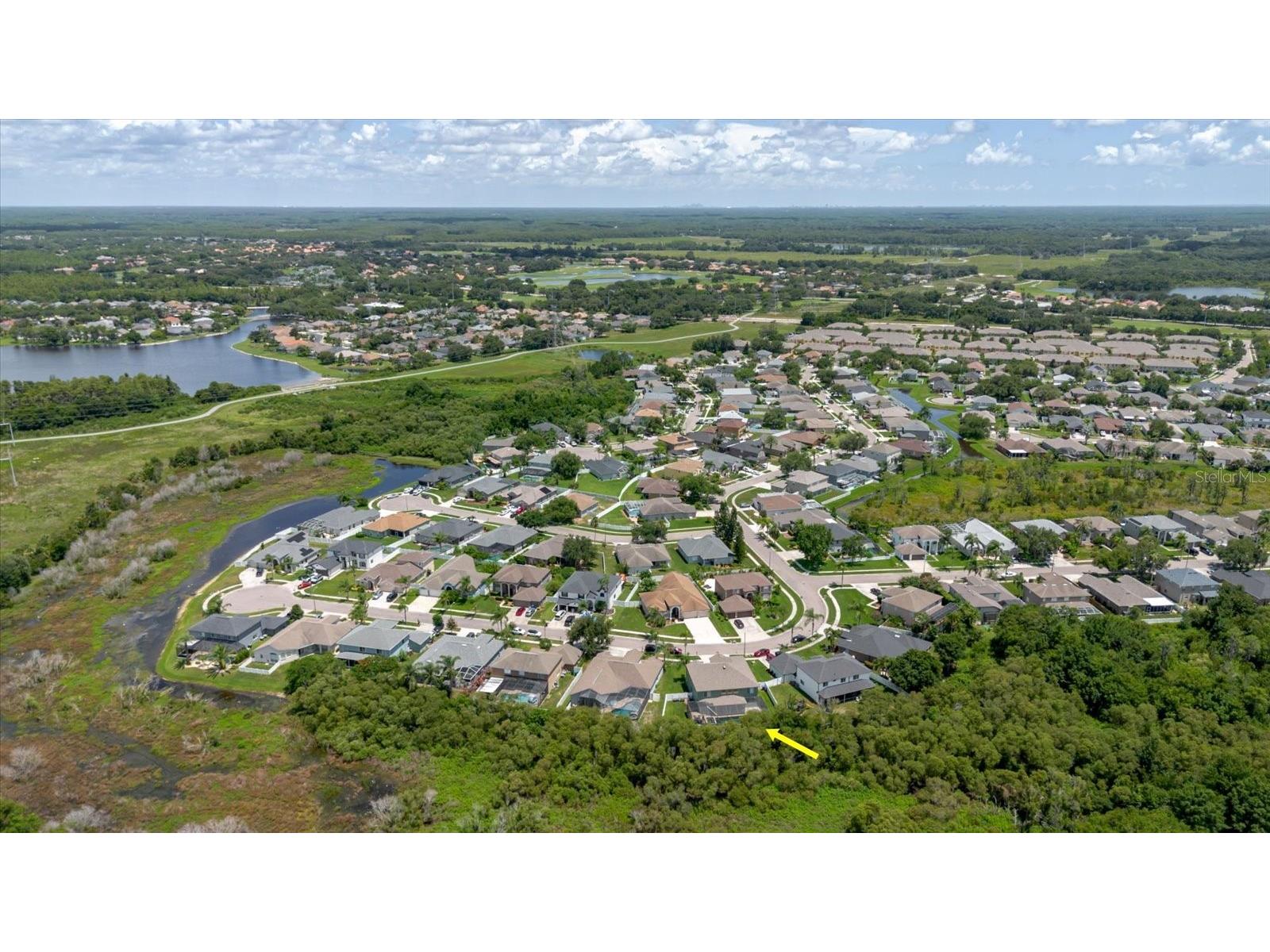 1839 Pink Guara Court Trinity FL 34655 TB8520866 image69