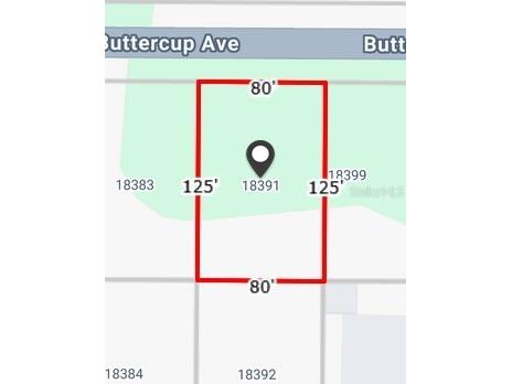 18391 Buttercup Avenue Port Charlotte FL 33954 C7527339 image3