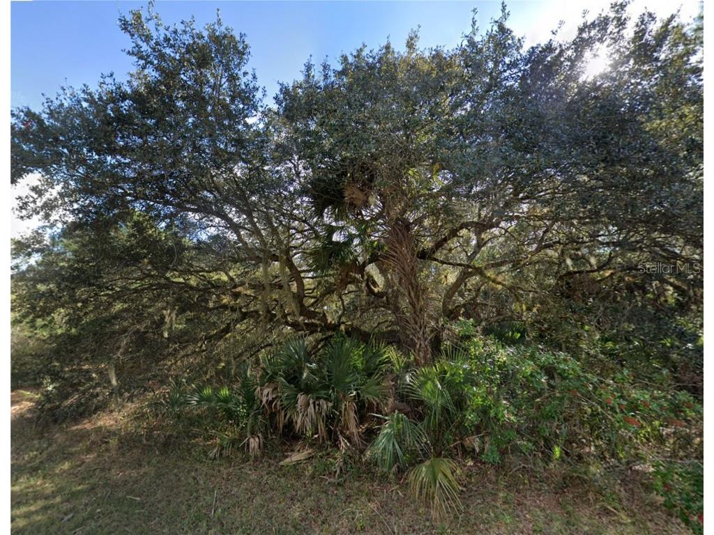 18393 Cordoba Avenue Port Charlotte FL 33954 D6142713 image3