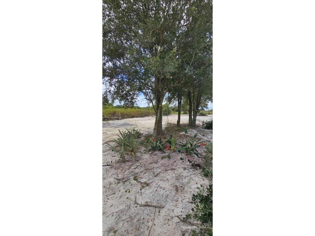 18398 NW 286th Street Okeechobee FL 34972 C7525108 image5
