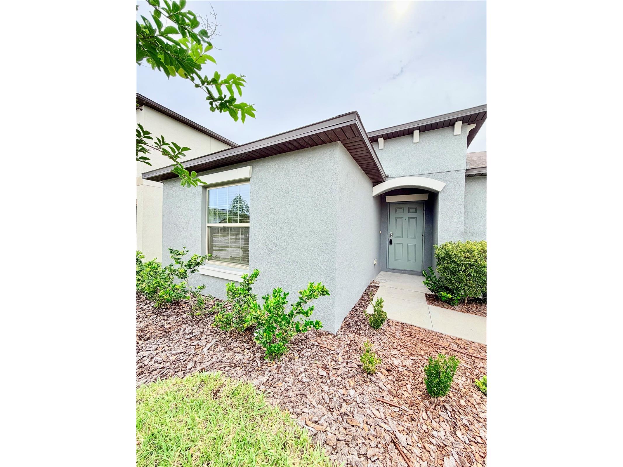 184 Argyll Drive Spring Hill FL 34609 TB8517773 image3