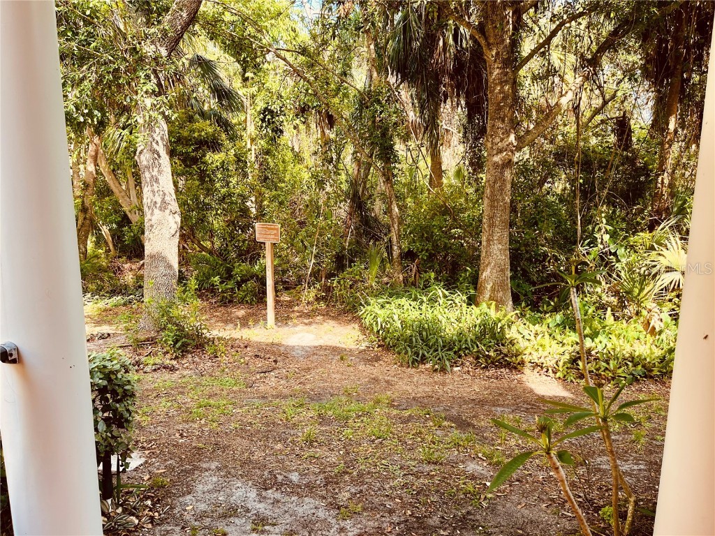 184 Banyan Bay Drive Saint Petersburg FL 33705 - LITTLE BAYOU ON TAMPA BAY TB8384825 image10