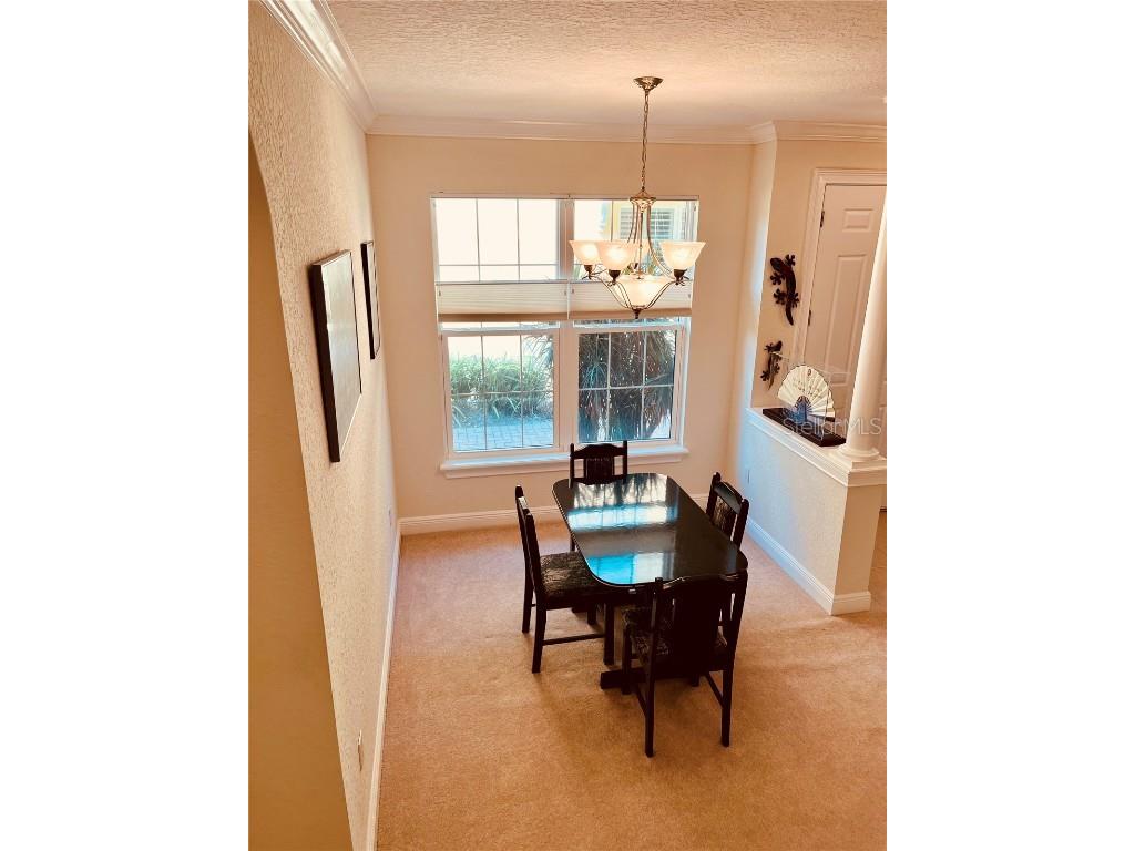 184 Banyan Bay Drive Saint Petersburg FL 33705 - LITTLE BAYOU ON TAMPA BAY TB8384825 image19