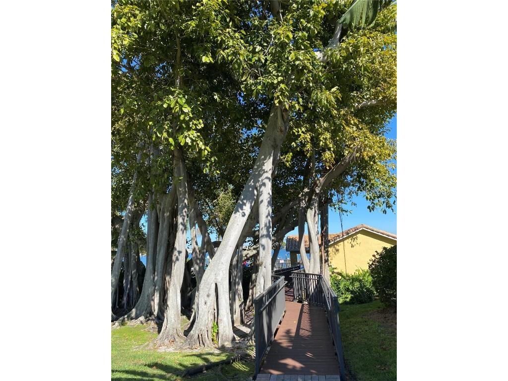 184 Banyan Bay Drive Saint Petersburg FL 33705 - LITTLE BAYOU ON TAMPA BAY TB8384825 image41