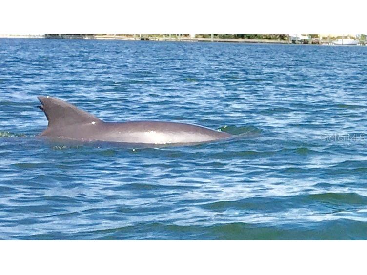 184 Banyan Bay Drive Saint Petersburg FL 33705 - LITTLE BAYOU ON TAMPA BAY TB8384825 image50