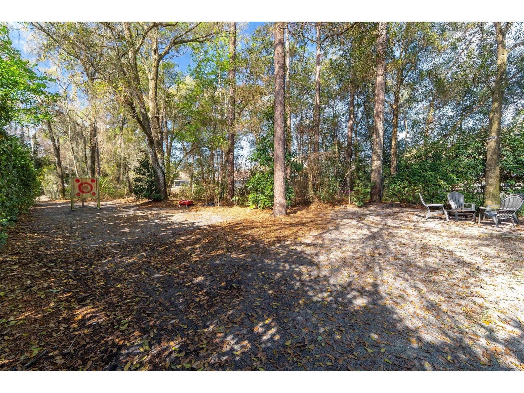 184 Birchmont Drive Deland FL 32724 O6387075 image33