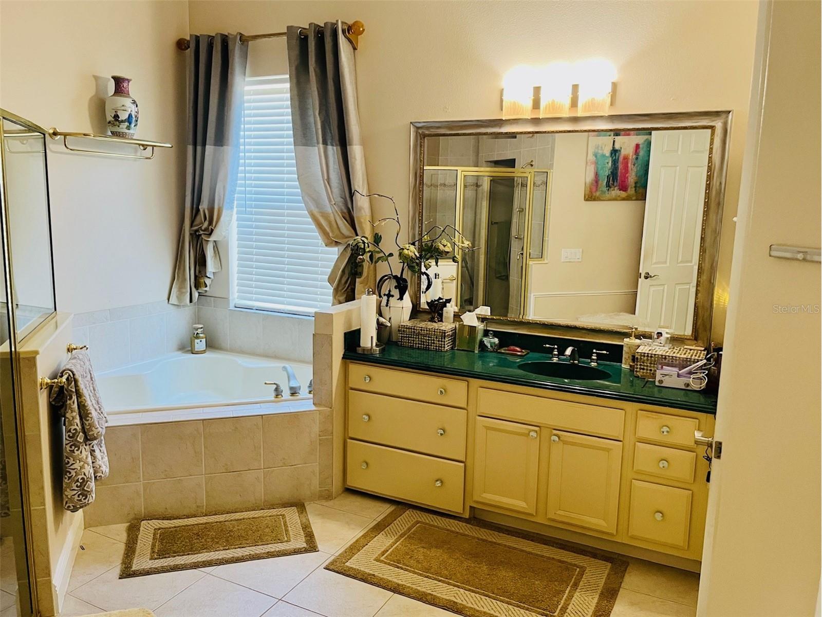 184 Crepe Myrtle Drive Groveland FL 34736 O6392706 image31