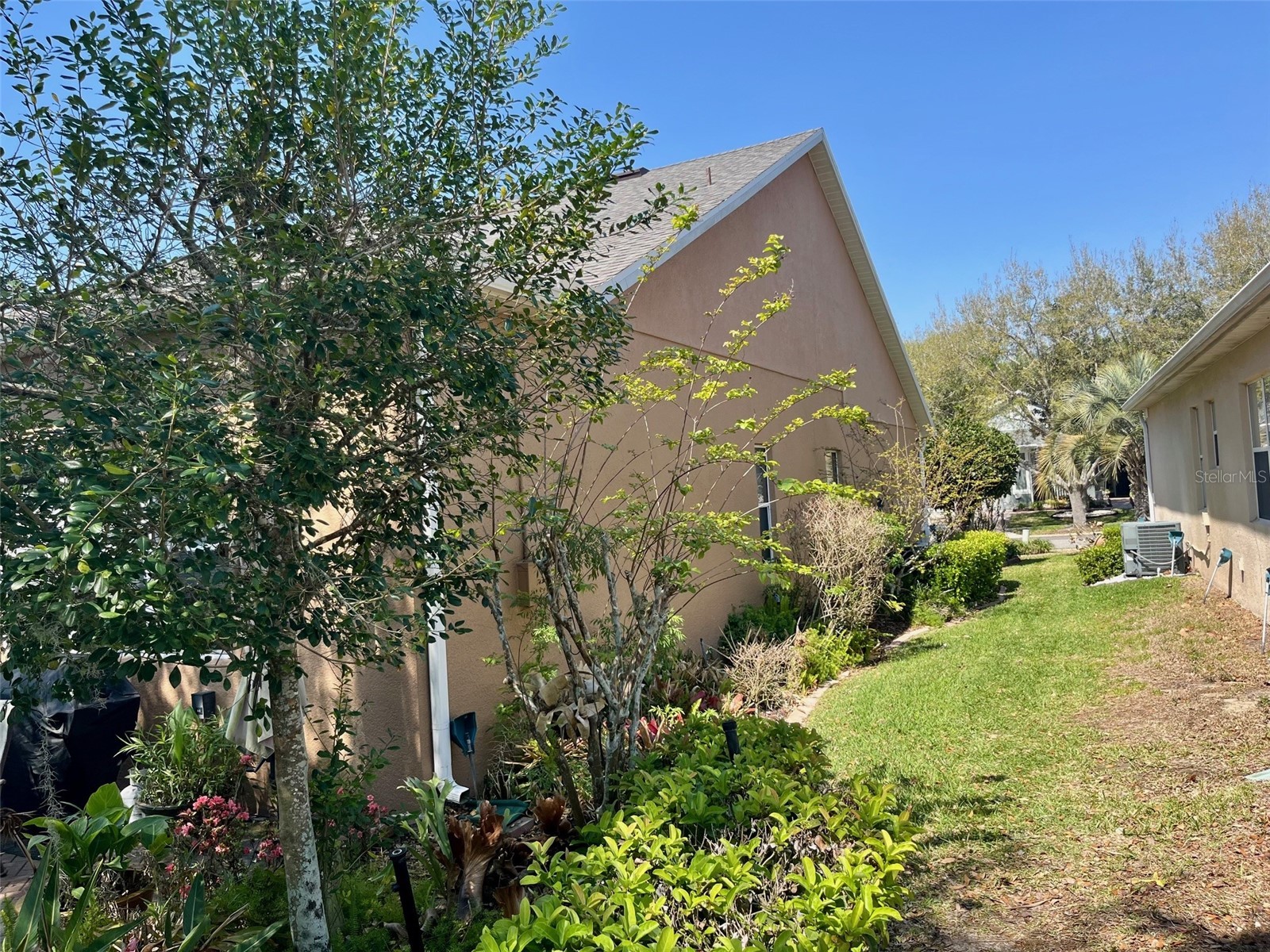 184 Crepe Myrtle Drive Groveland FL 34736 O6392706 image4