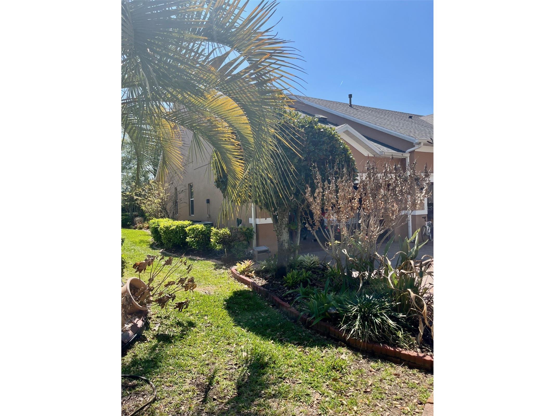184 Crepe Myrtle Drive Groveland FL 34736 O6392706 image6