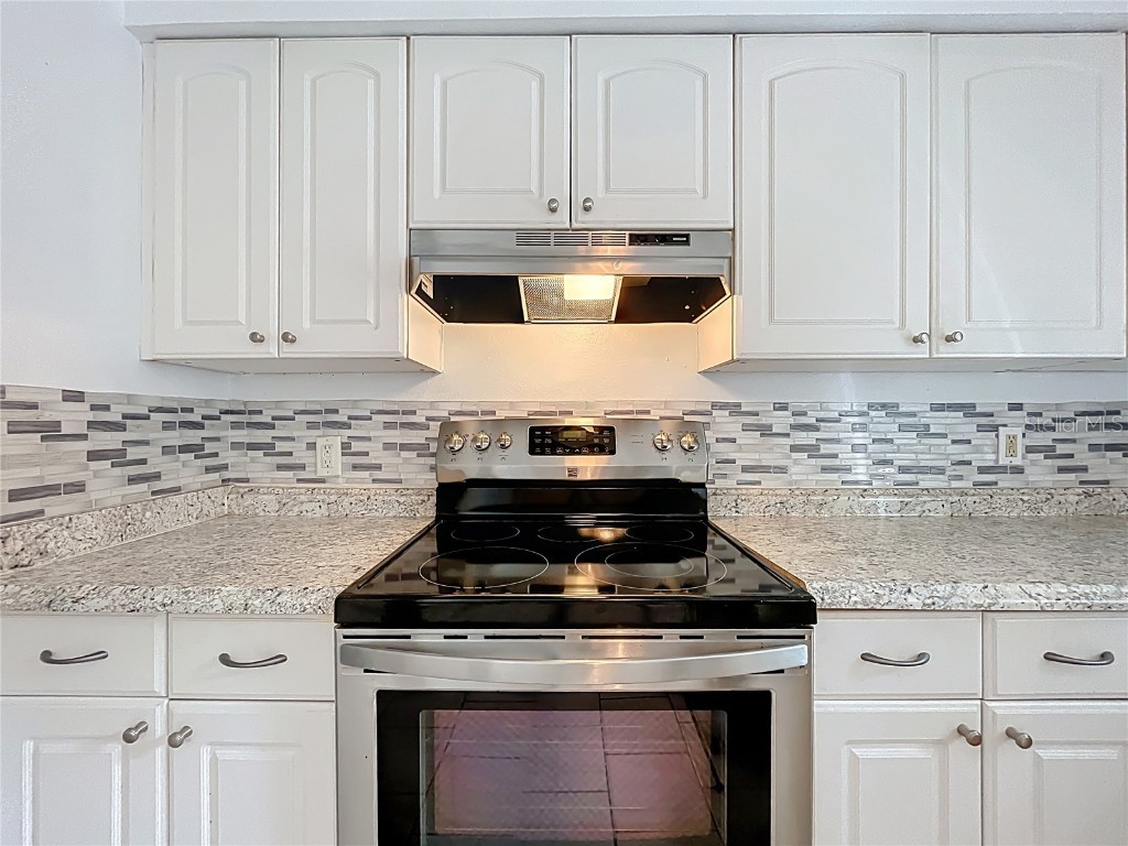 184 Groveland Road Mount Dora FL 32757 O6343936 image13