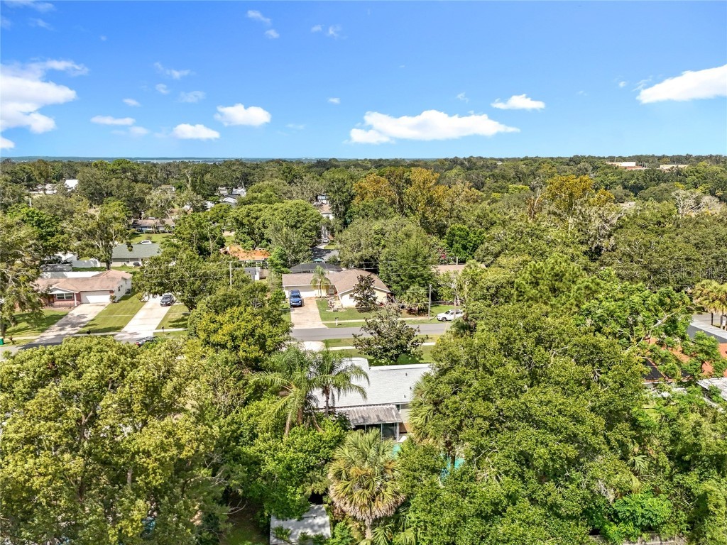 184 Groveland Road Mount Dora FL 32757 O6343936 image50