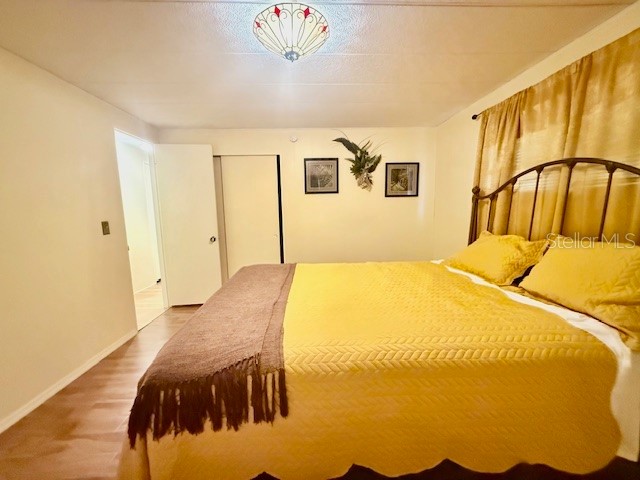 184 Independence Avenue #8 Palm Harbor FL 34684 - LAKE TARPON TB8495345 image14