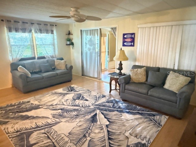 184 Independence Avenue #8 Palm Harbor FL 34684 - LAKE TARPON TB8495345 image4