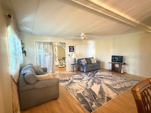 184 Independence Avenue #8 Palm Harbor FL 34684 - LAKE TARPON TB8495345 image5